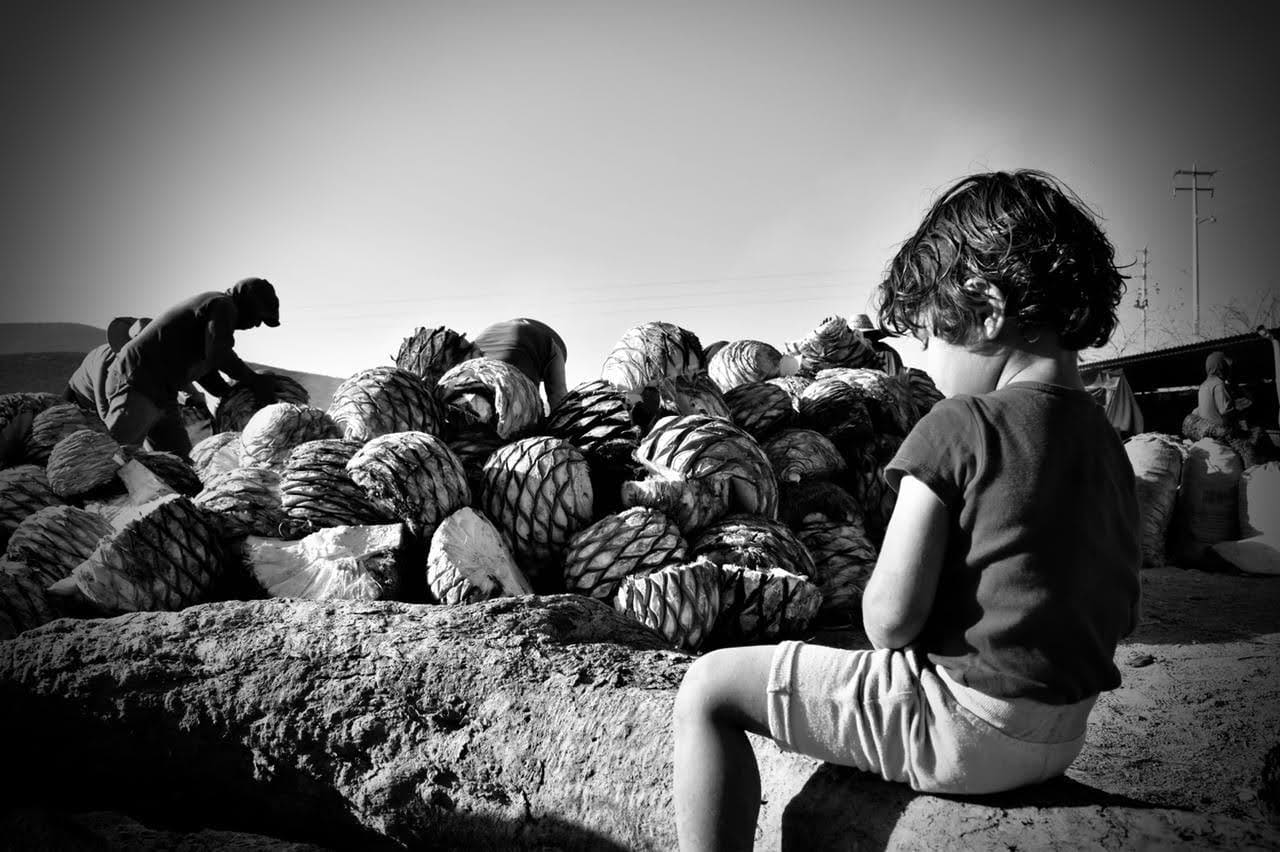 IMG-20210328-WA0000 (1)