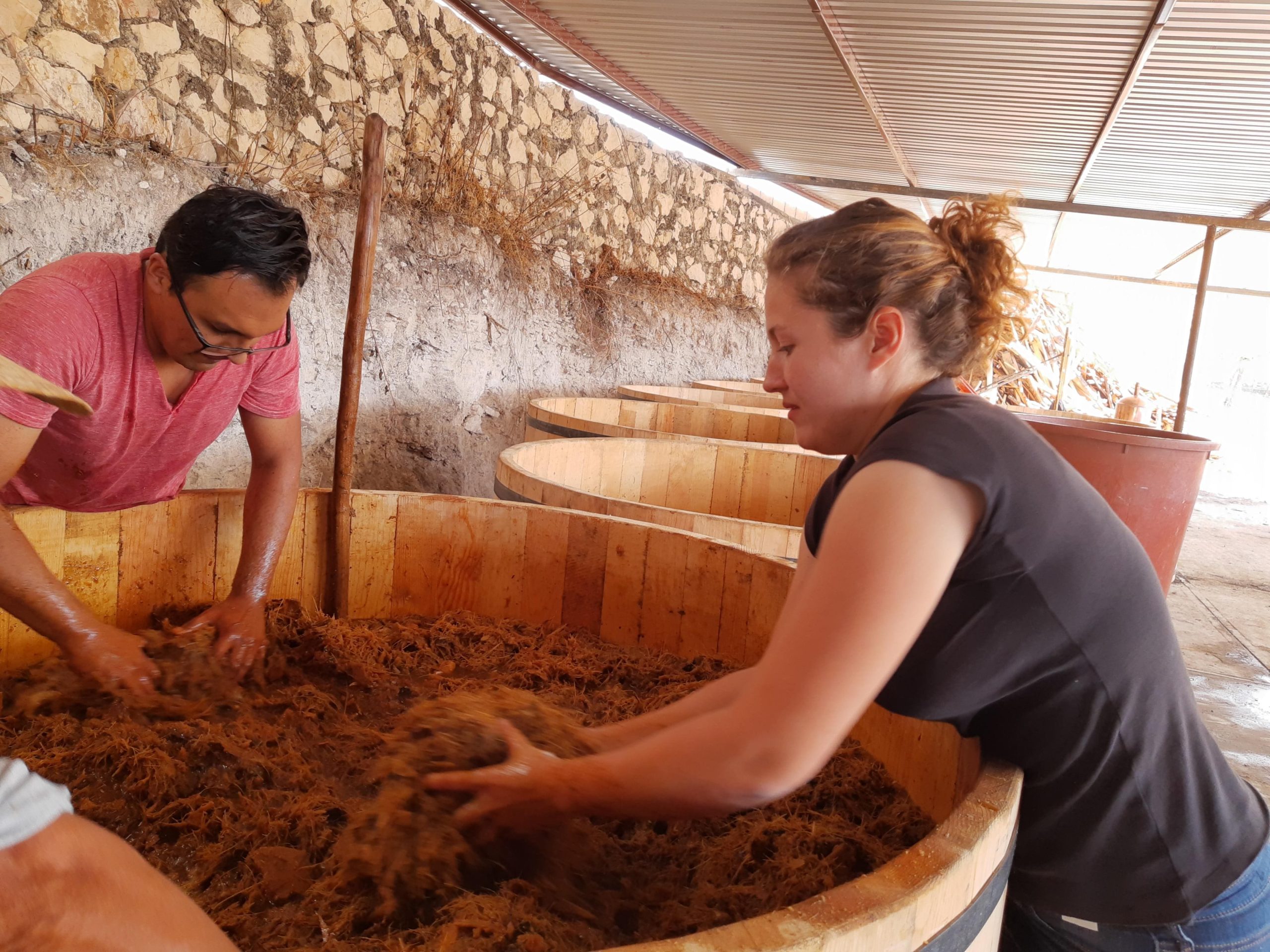 IMG_20210127_132626528