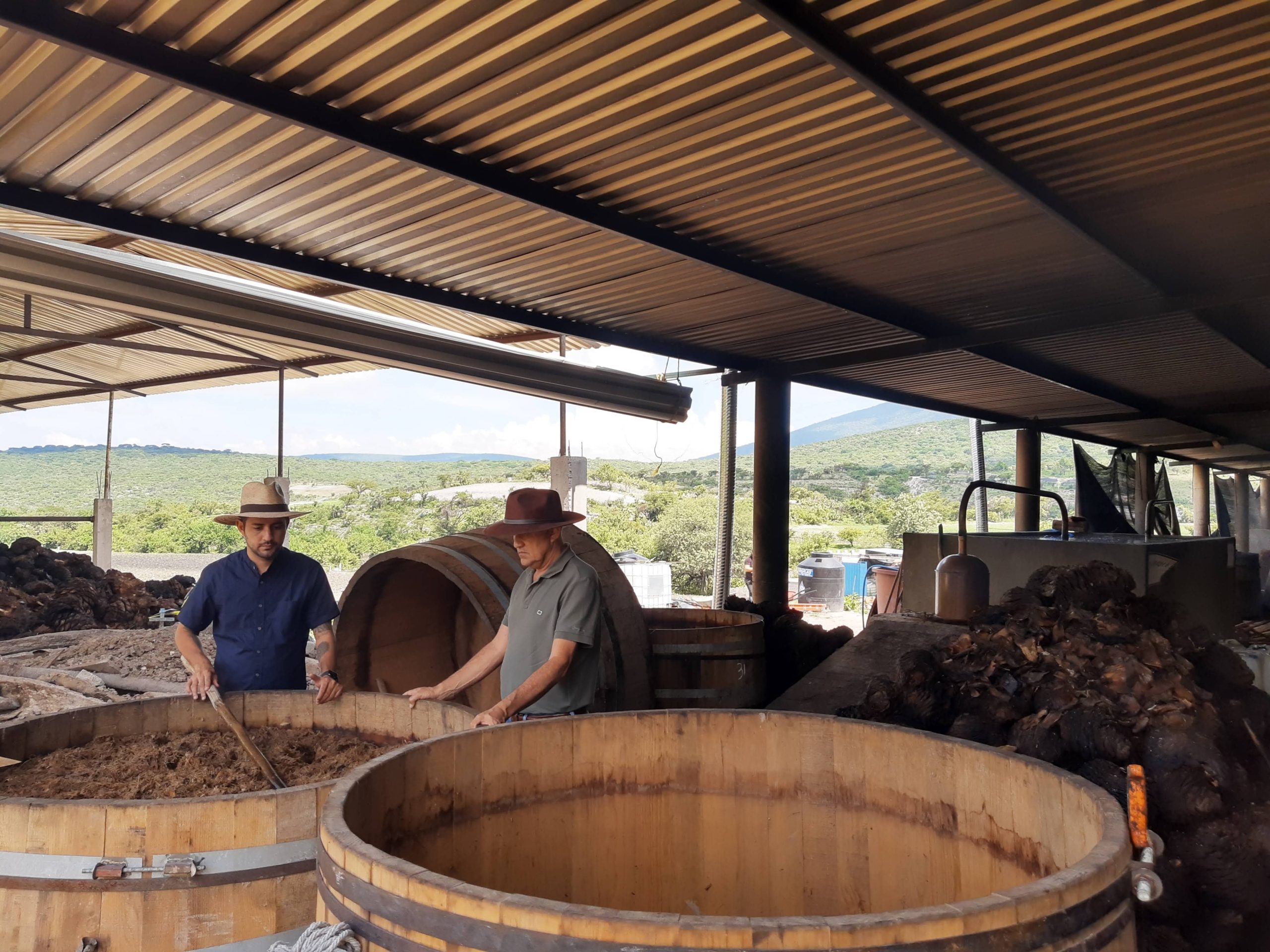 IMG_20210705_113419888_HDR