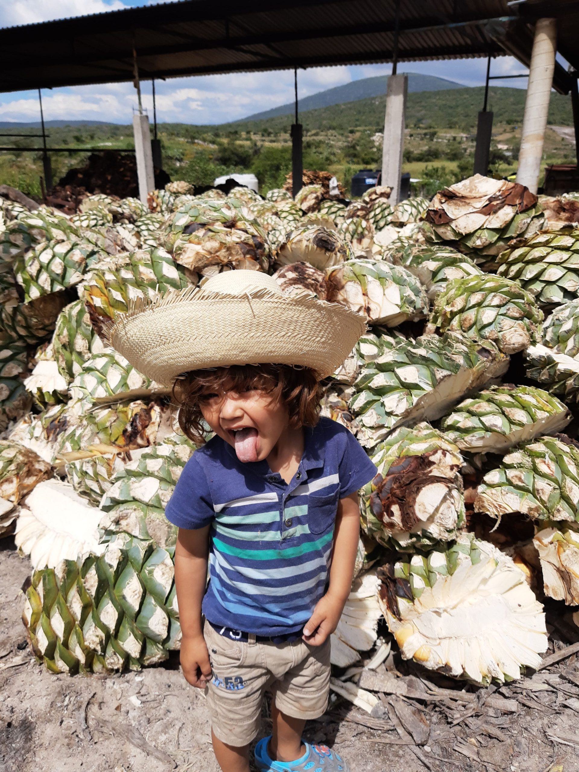 IMG_20211009_122058178